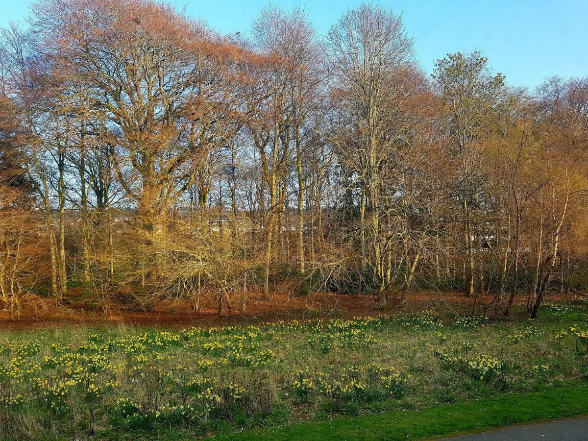 Culduthel Vista Apartment Inverness Dış mekan fotoğraf